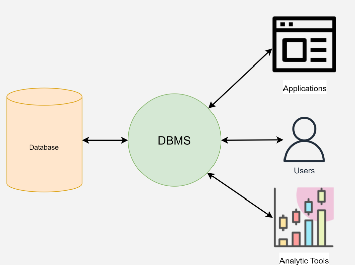 DBMS